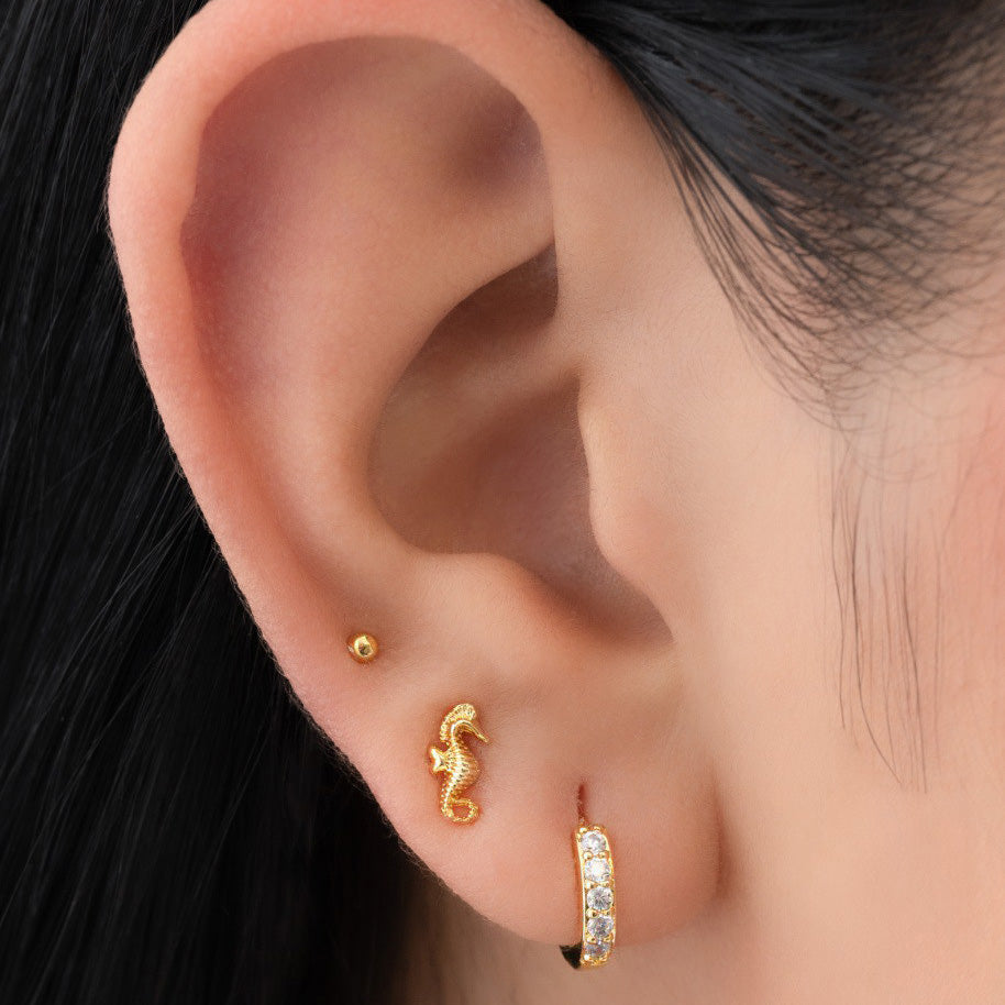 Aretes Caballito de Mar