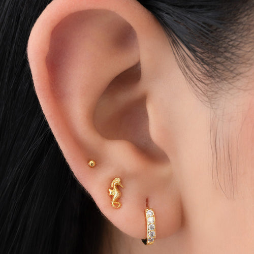Aretes Caballito de Mar
