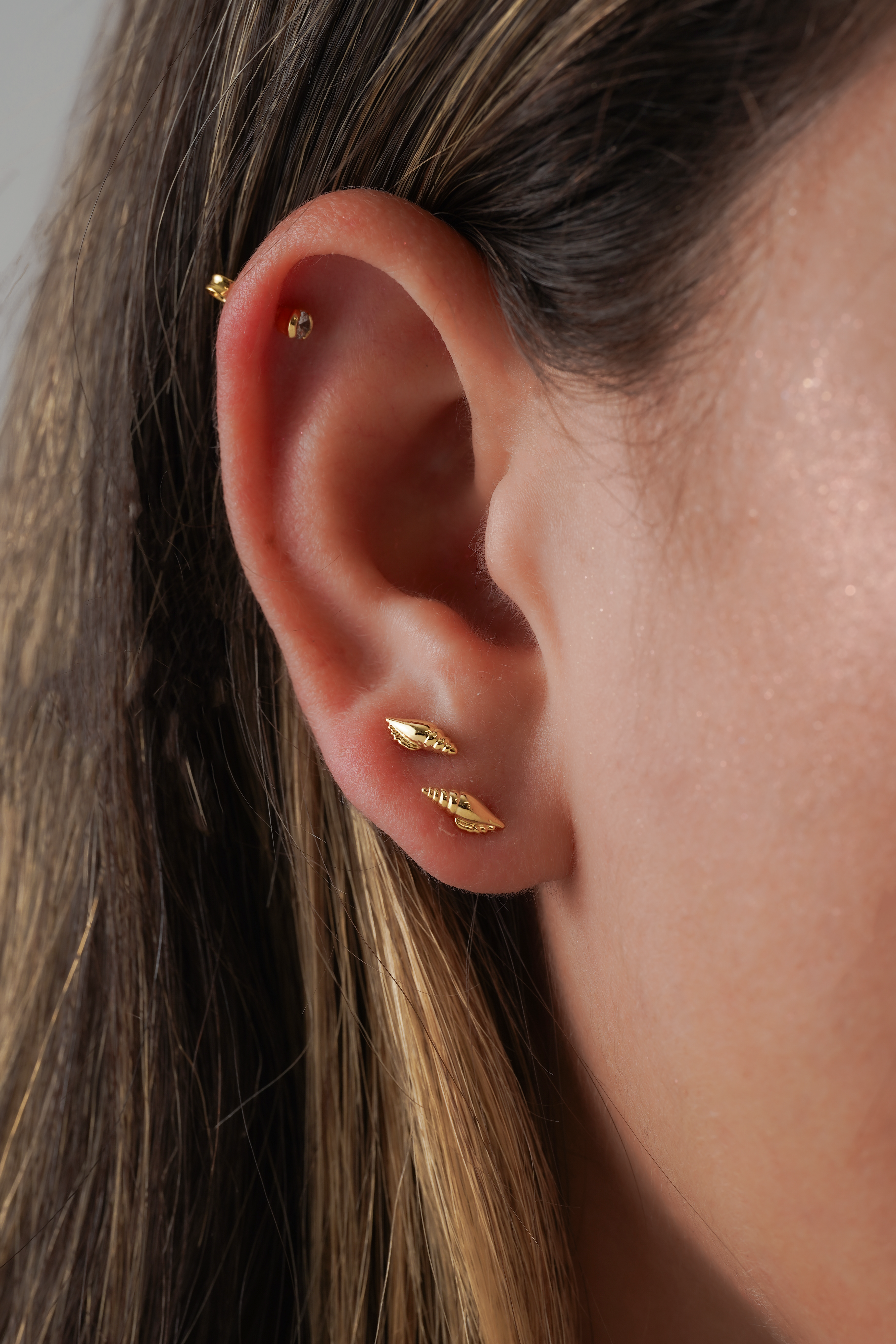 Aretes Shell