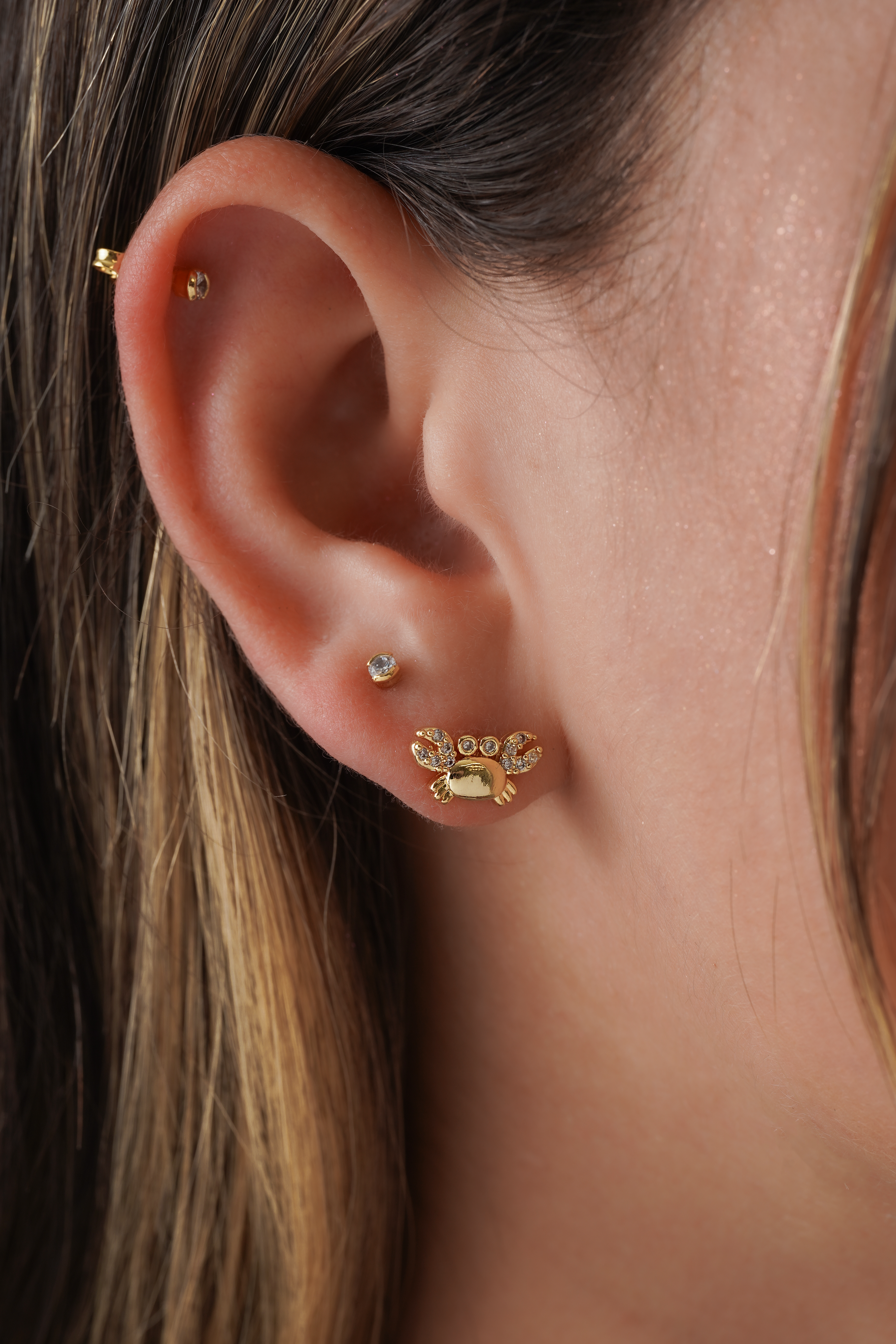 Aretes Crab Circonias